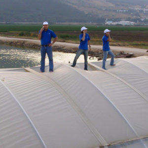 Solarig Greenhouse Poly Standing