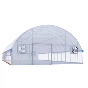 30'x100' Auto Ventilated Semi-Gable Greenhouse w/ Roll-up Sides