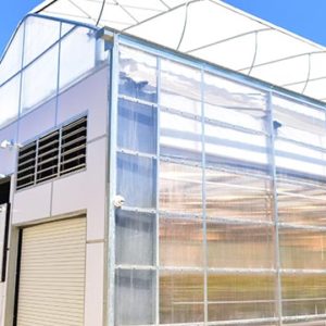 Interior Light Dep greenhouses for hemp and cbd