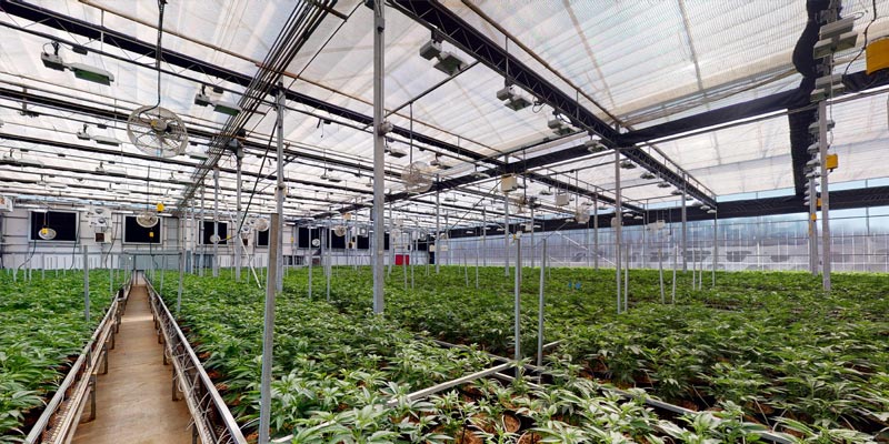 Gutter Connect Greenhouse VR experience